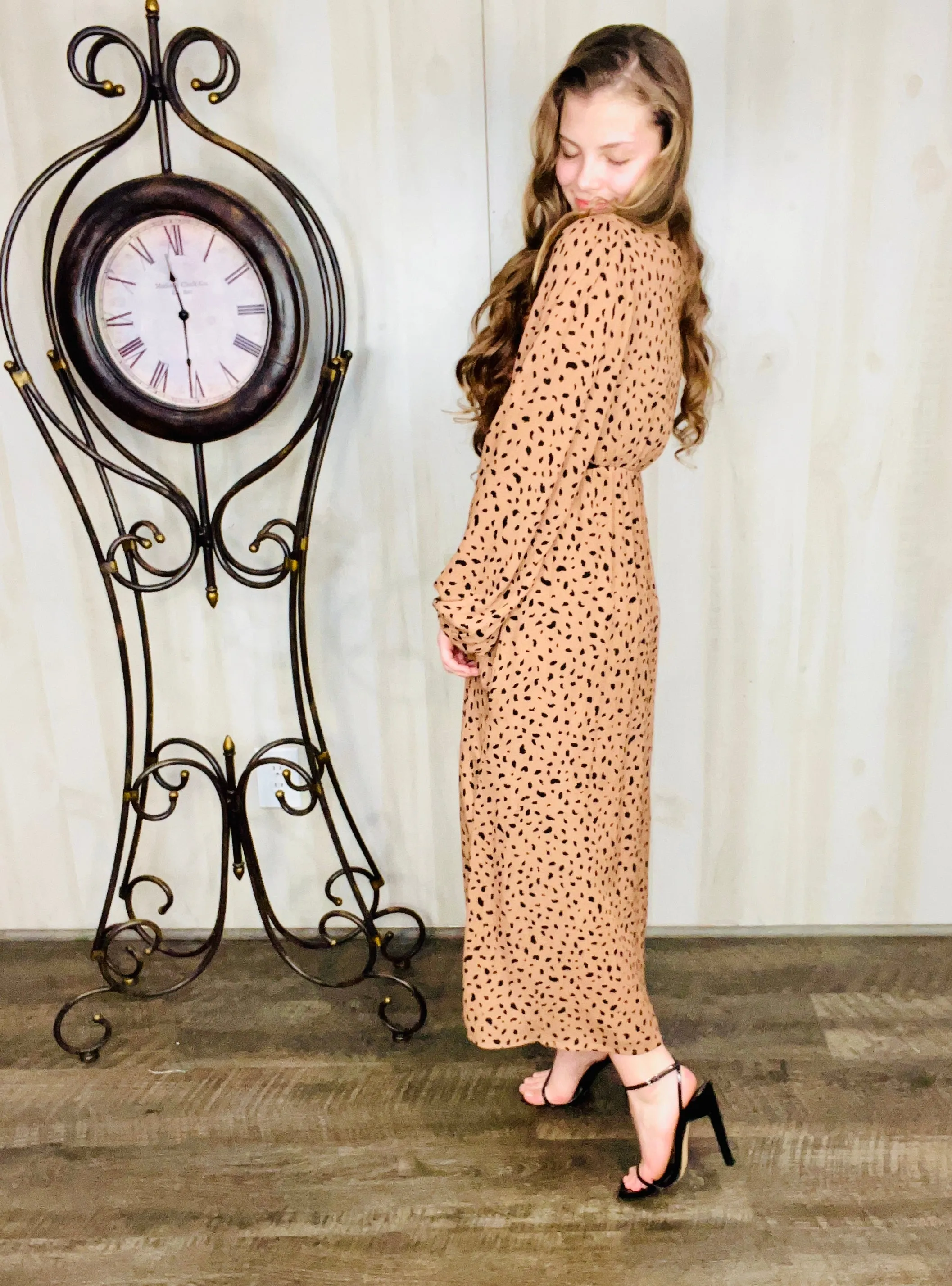 Brown & Dot Print Dress