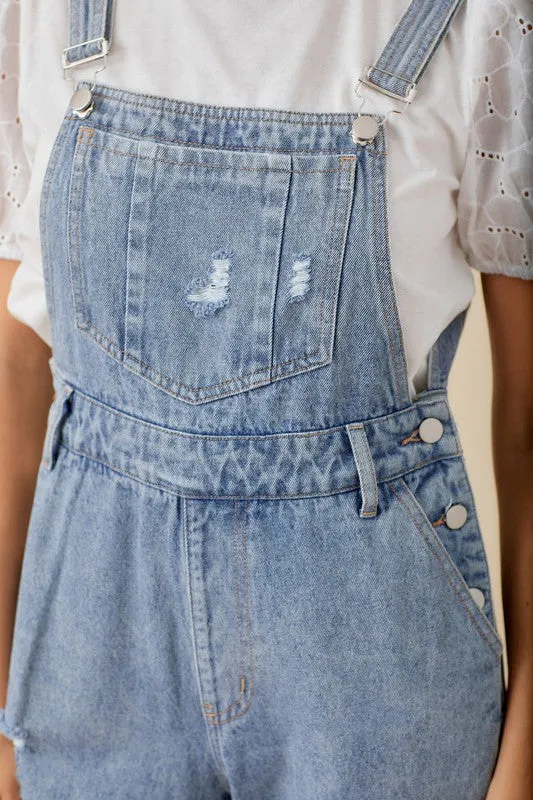 Harriet Denim Wide Leg Overalls