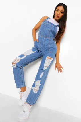 Petite Distressed Denim Overalls